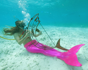 A harp-strumming mermaid in 2013. Image: Bob Care
